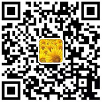 掃一掃 聯系手机看片AV免费